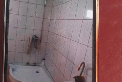 Casă cu Teren 2000 Mp în Paltin - 4