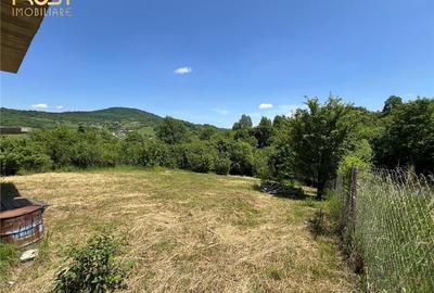 Casa semifinisata V. Ghinzii teren 18 arii - 7