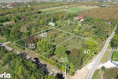Teren de 2812 mp, în Viile Satu Mare - 6
