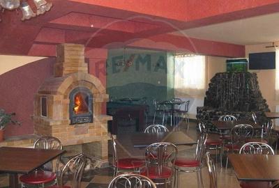 DE VANZARE Pensiune cu piscina, pastravarie, zona spa locatie de vis - 17