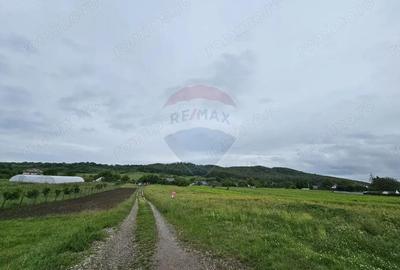 Teren 1,495mp Dobreni / Strada Parau Almas - 1