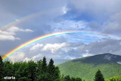 Spațiu comercial, de 280 mp, în Central - 10