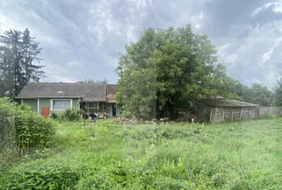 Casa tradi?ionala cu teren generos Belin - 2