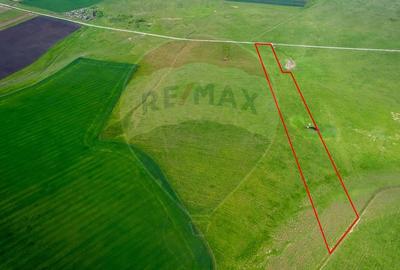 Teren agricol extravilan de 50000 mp, în Exterior Nord - 5