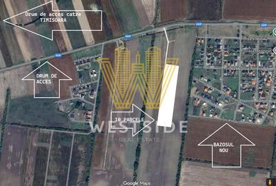 Teren Construcții intravilan de 5070 mp, în Bucovăț (Remetea Mare) - 2