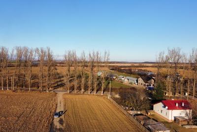 Teren rezidential retras langa lac SNAGOV in Silistea Snagovului, DN1, A3 - 7