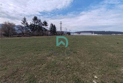 Teren intravilan de 6775 mp, în Bartolomeu - 8