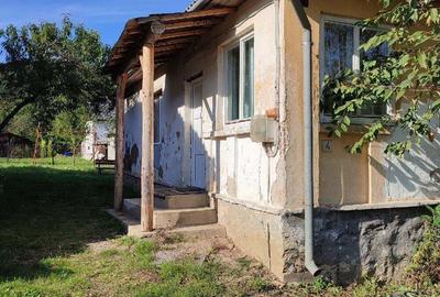 Casă cu 2 camere în Băița - 1
