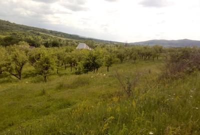 Teren de 10400 mp, în Central - 2