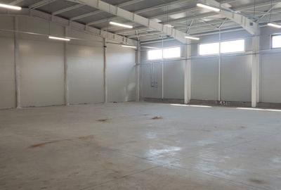 2 hale noi Voluntari -Afumati Doraly - 1