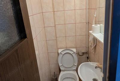 Apartament cu 4 camere decomandat în Lujerului - 8