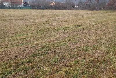 Casă cu Teren 6400 Mp în Zam - 4