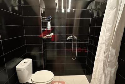 Inchiriere Apartament o camera - Valea Lupului - 5