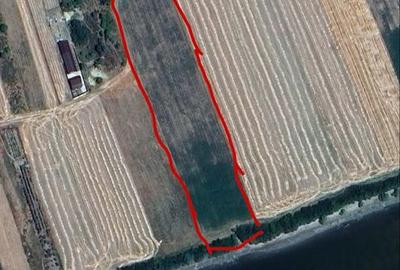 Spațiu comercial, în Dichiseni - 4