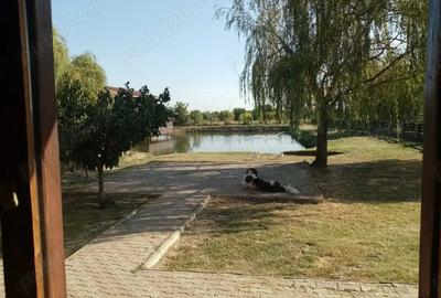 Proprietate de vanzare 3690 mp cu balta populata - 9