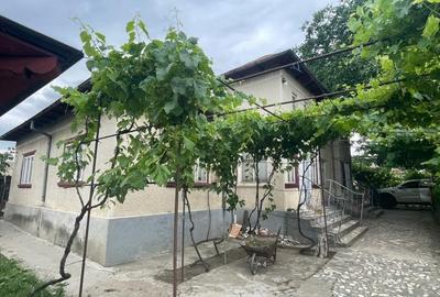 Vand casa in Vasile Alexandri - 4
