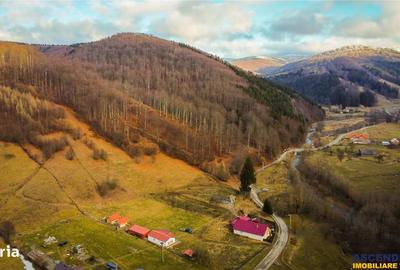 Teren de 5425 mp, în Vama Buzăului - 3