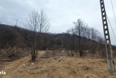 Teren de 2800 mp, în Sovata - 16