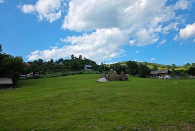 Teren intravilan - 6312 mp - Rucar, Argeș