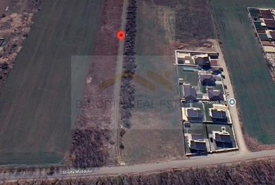 Teren 600 mp str Molidului langa padure - 1