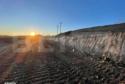 Teren de 5200 mp, în Ponor - 1