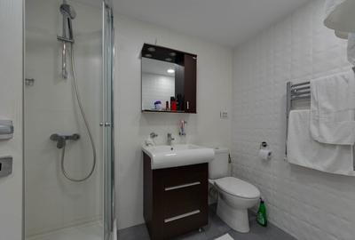 Casă individuală cu 10 camere cu Canalizare în Primăverii - 21