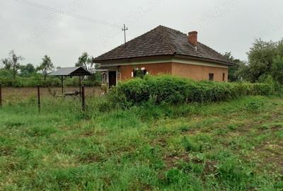 Casă în Jupânești - 4