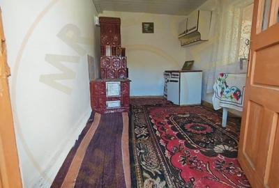 Casă individuală cu 7 camere cu Teren 3233 Mp în Valea Rizii - 5