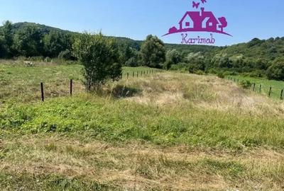 Teren de 1100 mp, în Hidiș - 8