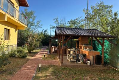 Proprietar vila spatioasa cu 7 dormitoare mobilata si utilata - 5