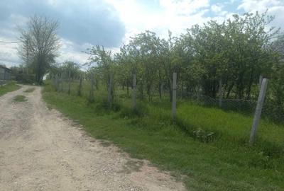 Teren de 1700 mp, în Ogretin - 3