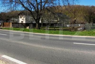 Teren de 5300 mp, în Voinești - 13