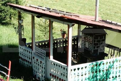 Casă cu 5 camere cu Teren 32000 Mp în Nord - 8
