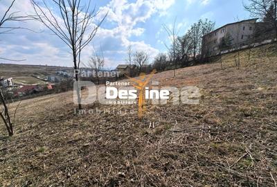 Teren Construcții intravilan de 3000 mp, în Rediu - 4