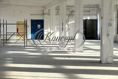 Hala depozitare/productie in Piata 1 Mai - 5