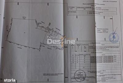 Casă cu 3 camere în Șerbănești - 5