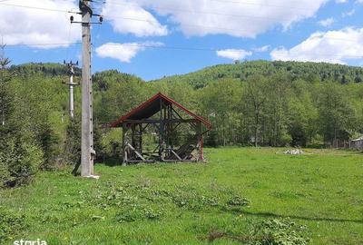 Teren de 13783 mp, în Avram Iancu - 3