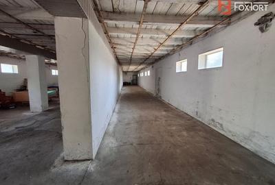 Spațiu industrial, de 695 mp, în Giulvăz - 17