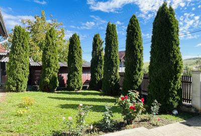 De vanzare doua case - 2