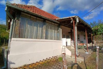 Casă cu 4 camere cu Teren 2700 Mp în Șișești - 2