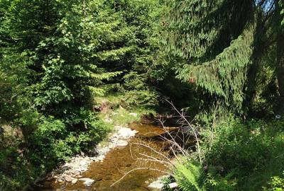 Spațiu comercial, în Călățele - 1