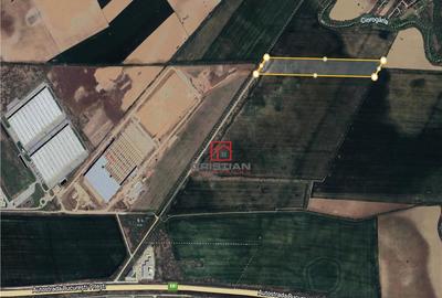 Teren Ciorogarla - Bolintin Deal - A1 - KM22, Ilfov Teren Ciorogarla - Bolintin Deal - A1 - KM22, Ilfov - 1