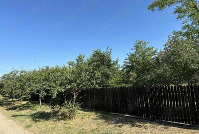 Vand casa - 4