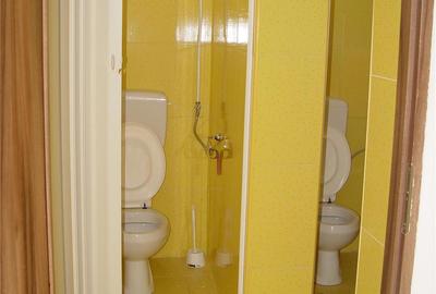 Spațiu comercial, de 450 mp, în Teremia Mare - 4