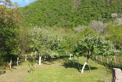 Spațiu comercial, în Central - 2