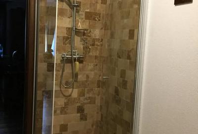 Apartament Centrul Vechi Craiova Apartament Centrul Vechi Craiova - 6