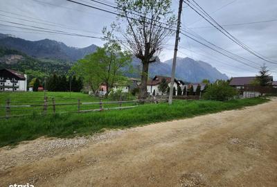 Teren de 2675 mp, în Poiana Țapului