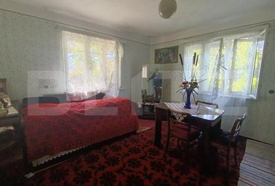 Casa cu 3 camere si o bucatarie de vara si 1300 mp teren si anexe - 10