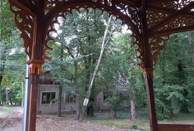 Casă cu 6 camere în Buziaș - 7