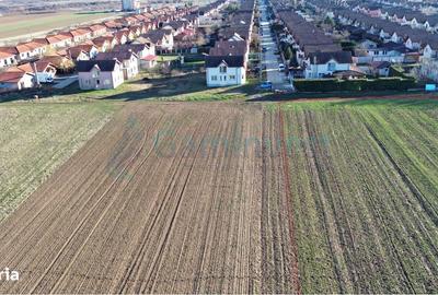 Spațiu comercial, în Paleu - 1